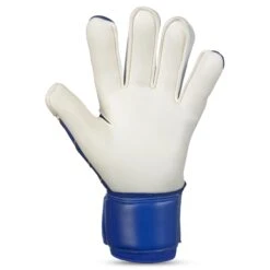 SELECT Goalkeeper Gloves - 55 Extra Force -Select 10484957 500078 blue white 55 Extra Force v24 gloves extra