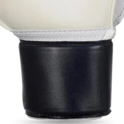 SELECT Goalkeeper Gloves - 04 Protection -Select 10484970 500075 blue white 04 Protection v24 gloves extra closeup
