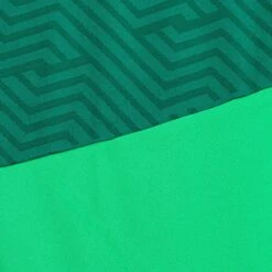 SELECT Monaco Goalkeeper Shirt 17 SELECT Monaco Goalkeeper Shirt -Select 11383892 600101 600102 green green Goalkeeper Shirt Monaco v24 closeup