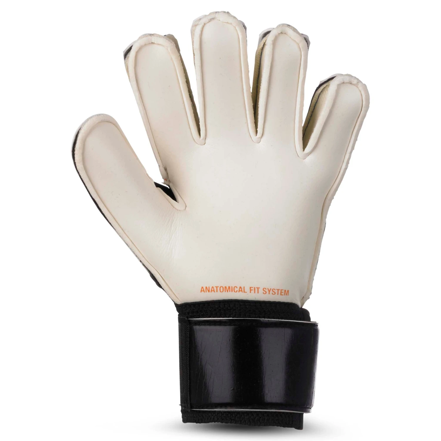 SELECT Goalkeeper Gloves - 03 Youth 2 SELECT Goalkeeper Gloves - 03 Youth – Bild 2